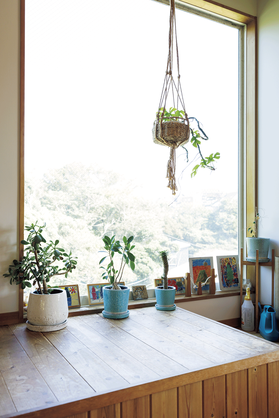 階段のステップと観葉植物