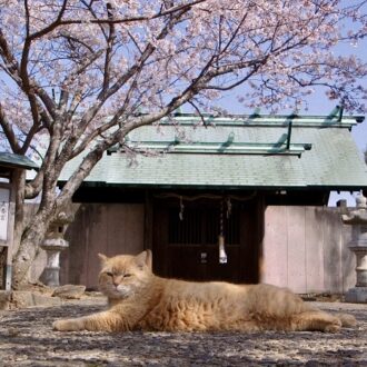 『二つの季節しかない村』