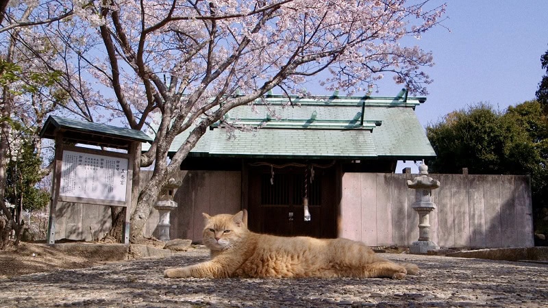 『二つの季節しかない村』