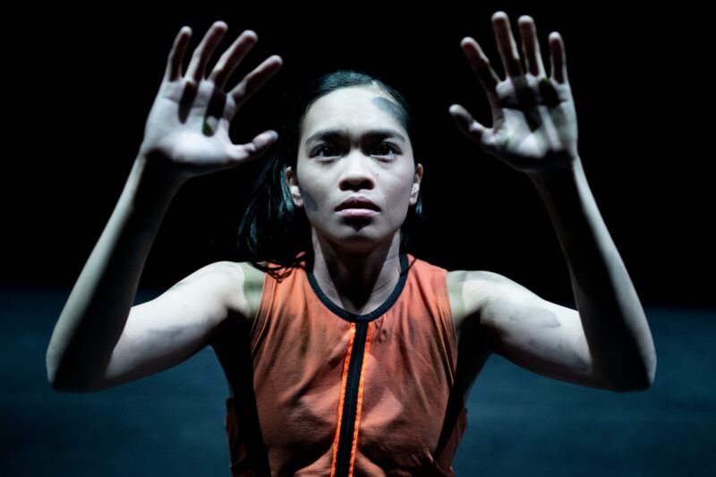 アクラム・カーン『ジャングル・ブック』 Akram Khan’s“ Jungle Book reimagined”