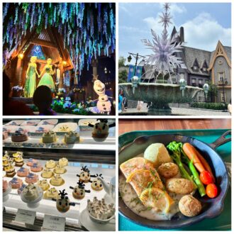 【香港ディズニー】アナ雪ファン必見！新エリア「ワールド・オブ・フローズン」で物語の世界に没入してきた
