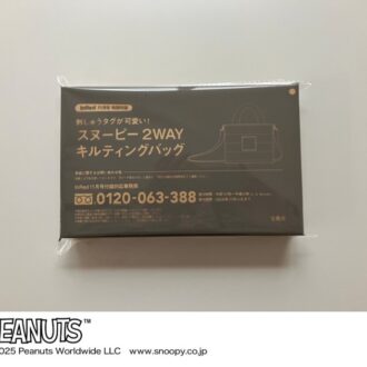 インレッド付録11月号