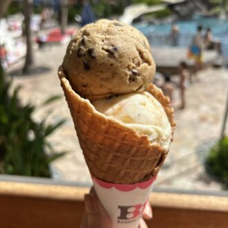 《バスキン・ロビンス》