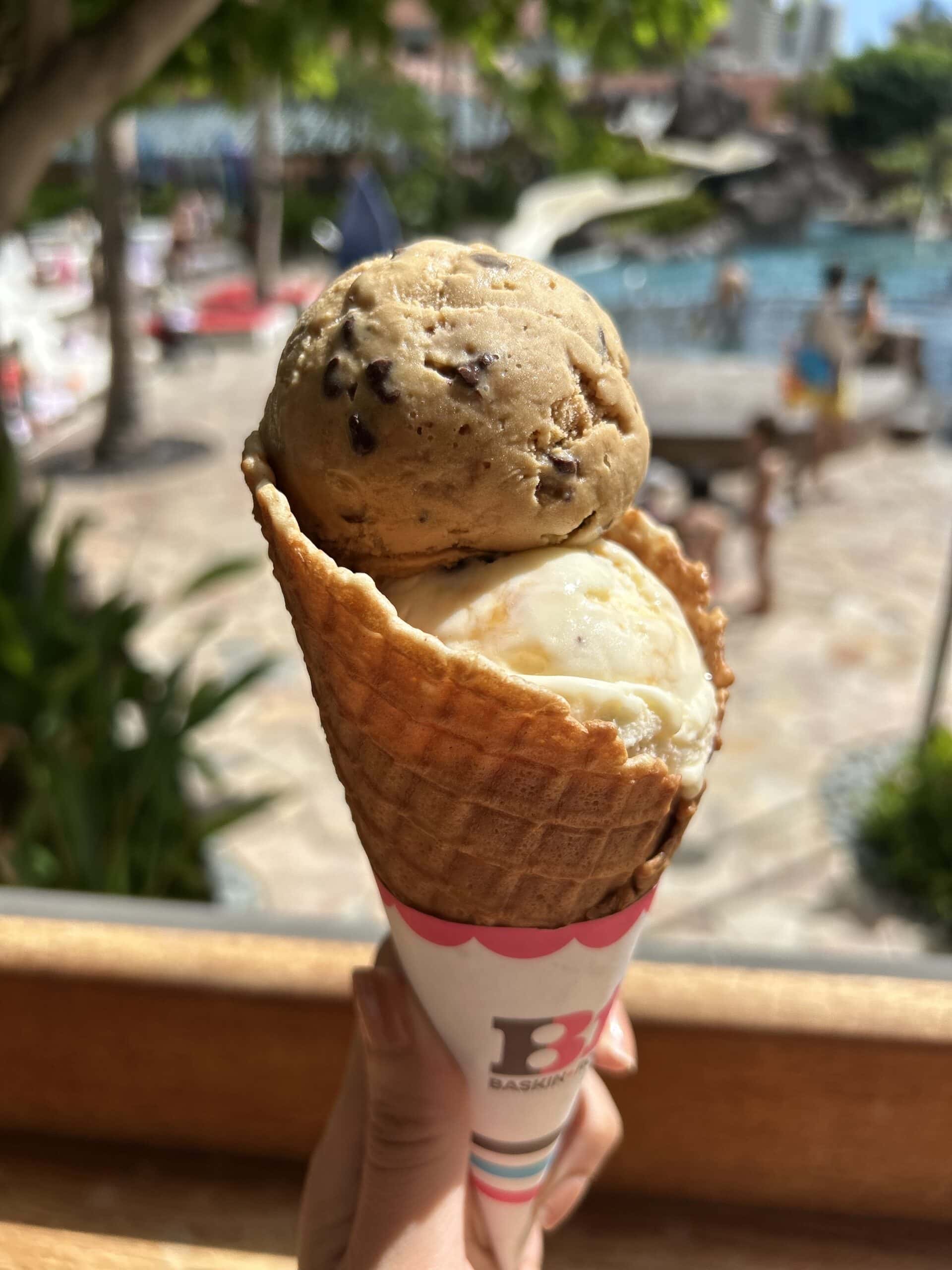 《バスキン・ロビンス》