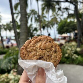 くるみ入りオートミールチョコチップ