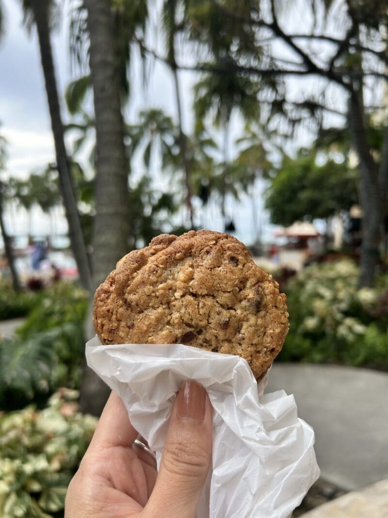 くるみ入りオートミールチョコチップ