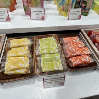 お土産に人気のフルーツバー