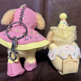 香港ディズニーランド　お土産レポ