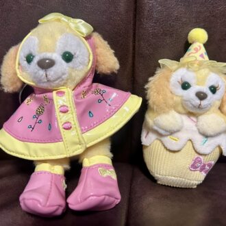 香港ディズニーランド　お土産レポ