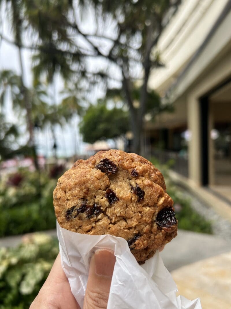 オートミールレーズン