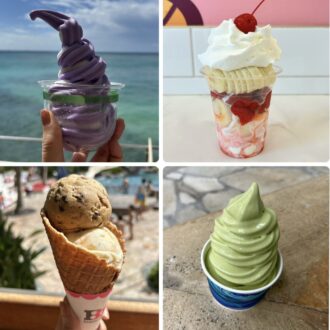 【ハワイで冷たいスイーツ！】乳製品不使用やノンシュガーもあり！ アイス＆ソフトクリーム4選＠コレクションズ・オブ・ワイキキ