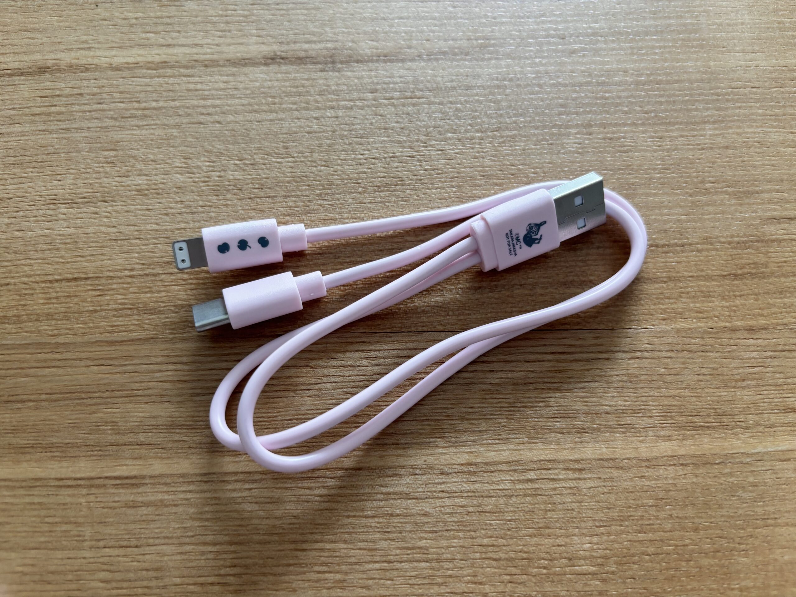 InRed（インレッド）1月・2月合併号付録　ムーミン ミニミニ文具セット　7.USBケーブル