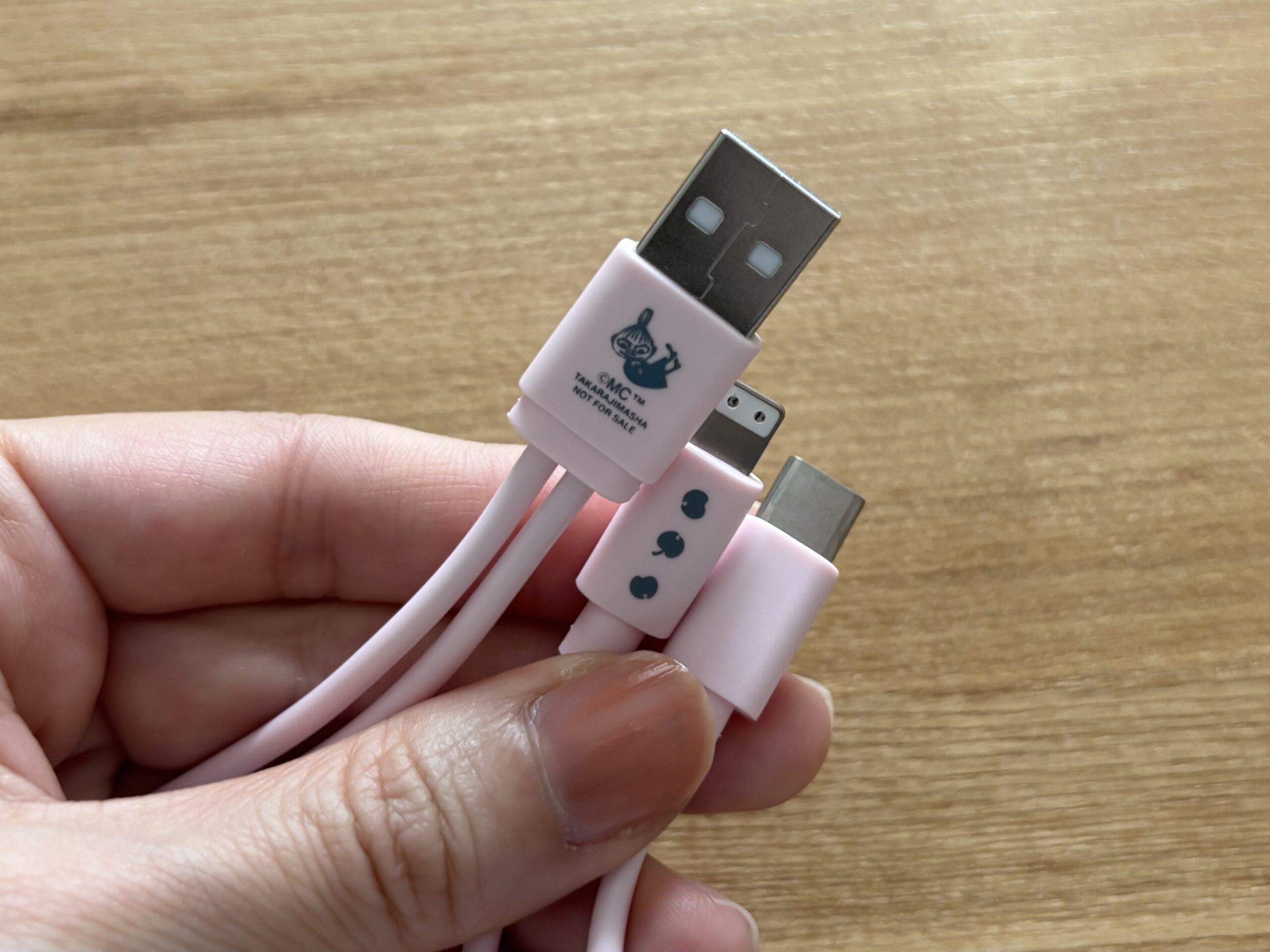 InRed（インレッド）1月・2月合併号付録　ムーミン ミニミニ文具セット　7.USBケーブル