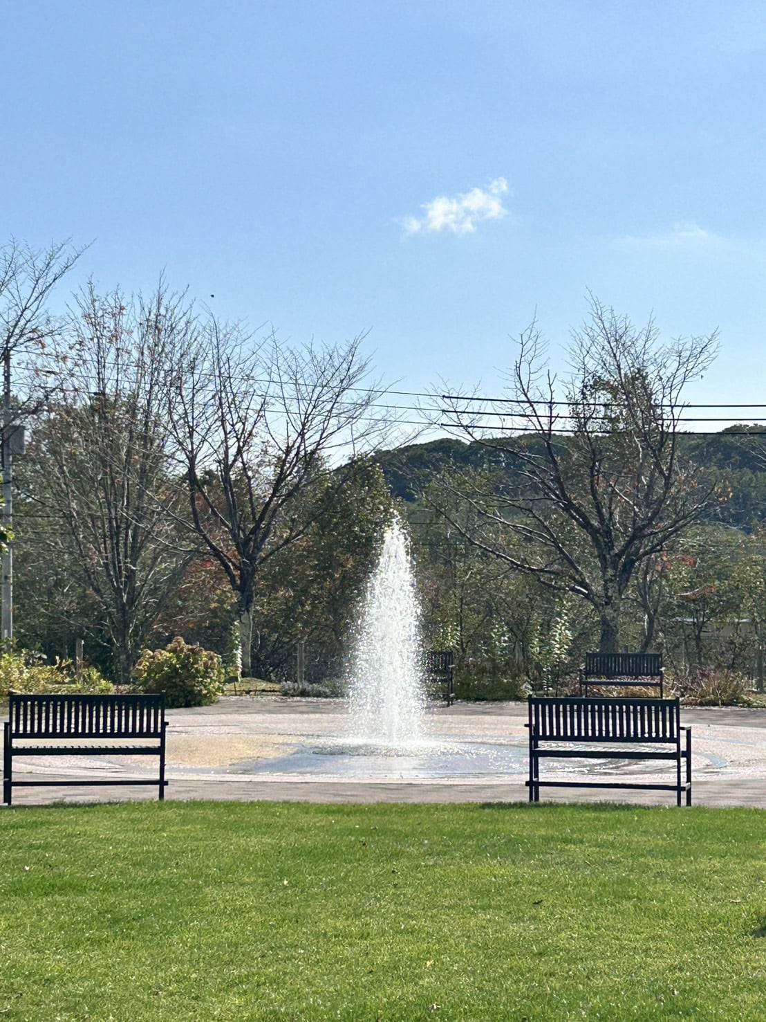 ナチュラルガーデン