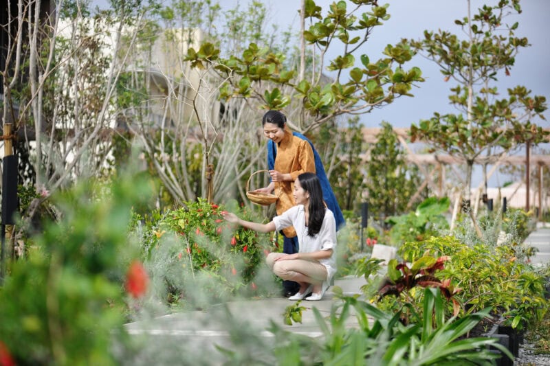 【星のや沖縄】吉祥庭めぐり