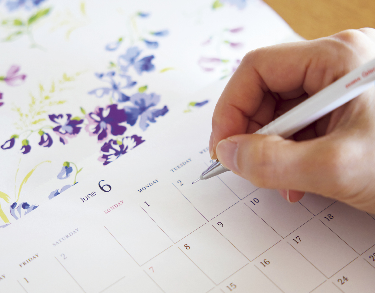 インレッド付録1月・2月合併号付録／予定を書き込んでスケジュール帳に