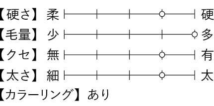イワタさんのヘアデータ