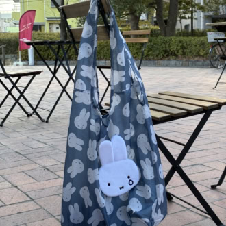 【インレッド3月号付録】ミッフィーのエコバッグが可愛いのに機能的すぎる！【付録レポ】