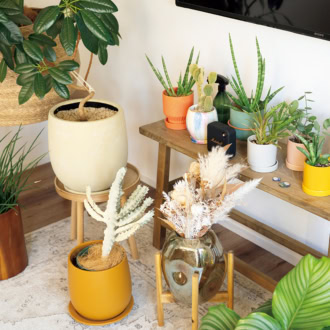 ソルソファームの植物は、ポットもカラフルでおしゃれ。ザラホームのテーブルに並べて