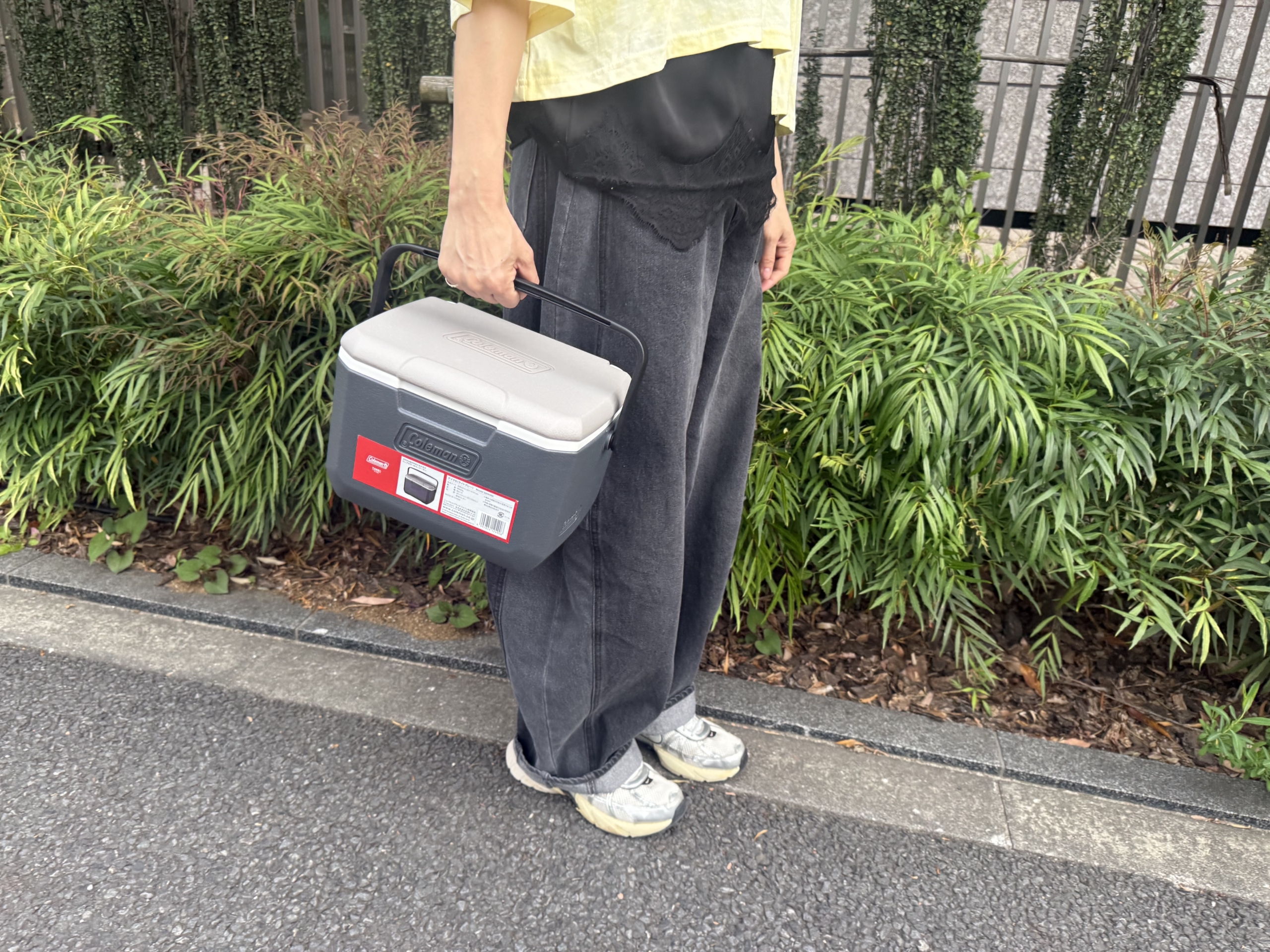 InRed Coleman FUROKU　202605