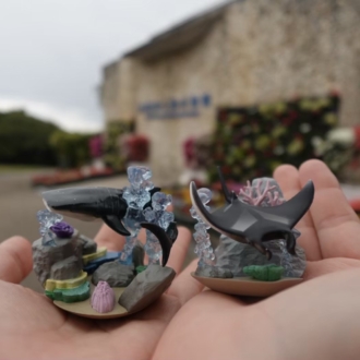 「カプリウムコレクション 沖縄美ら海水族館」