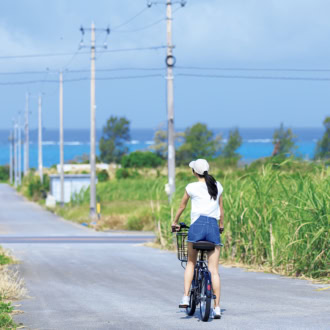海の見える沖縄の道、レンタサイクルに乗った女性