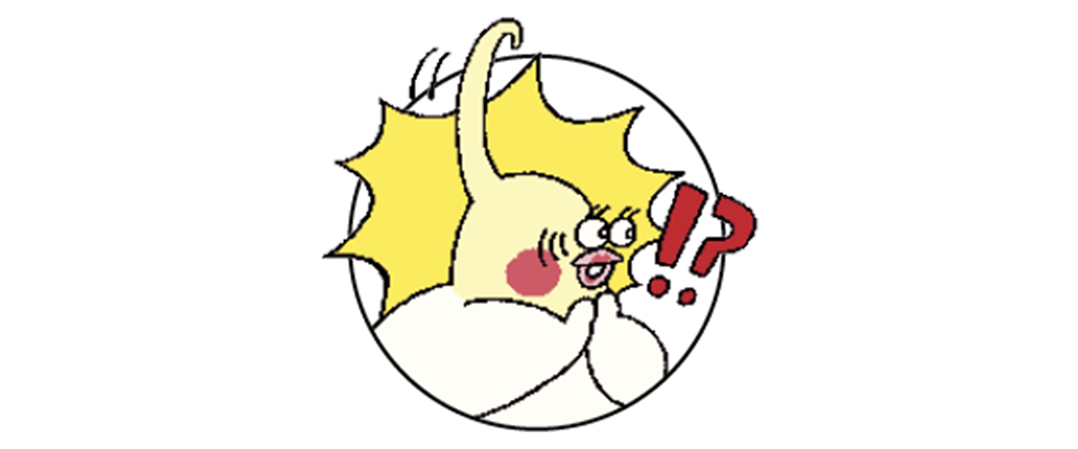 いんこれっど