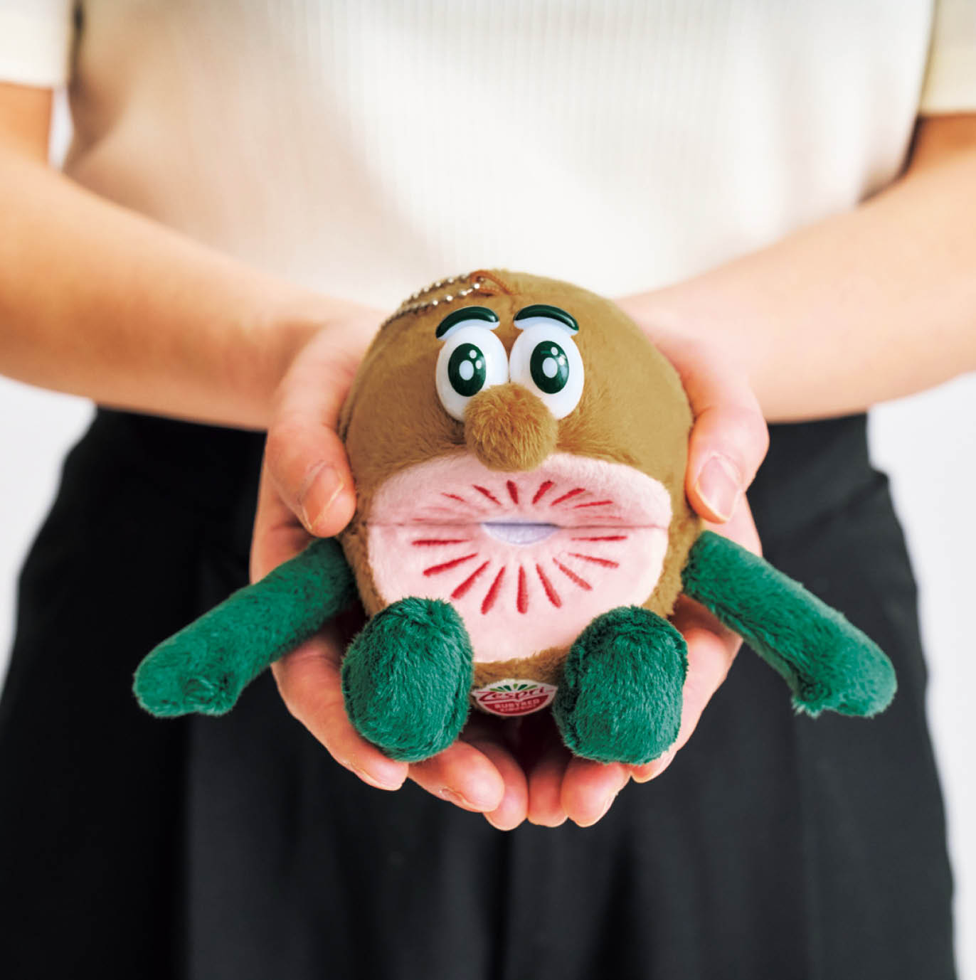 【InRed7月号特別付録】ゼスプリ キウイブラザーズ レッドのぬいぐるみエコバッグは、ぬいぐるみに収納すると両手にのるくらいの大きさ