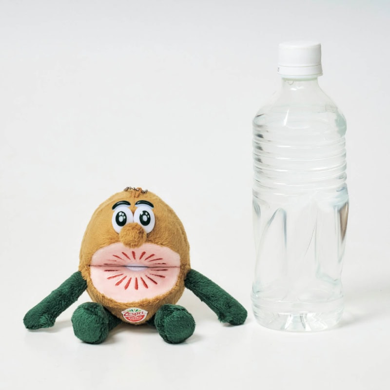500mLのペットボトルと比較するとこんな感じ