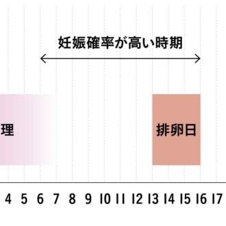 【妊娠しやすいタイミングって!?】妊娠確率が高い時期に、2〜3日に一度の性交渉をもつことで確率が高まります。※生理が28日周期の場合