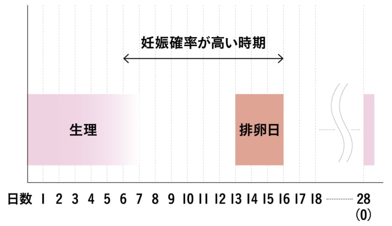 【妊娠しやすいタイミングって!?】妊娠確率が高い時期に、2〜3日に一度の性交渉をもつことで確率が高まります。※生理が28日周期の場合