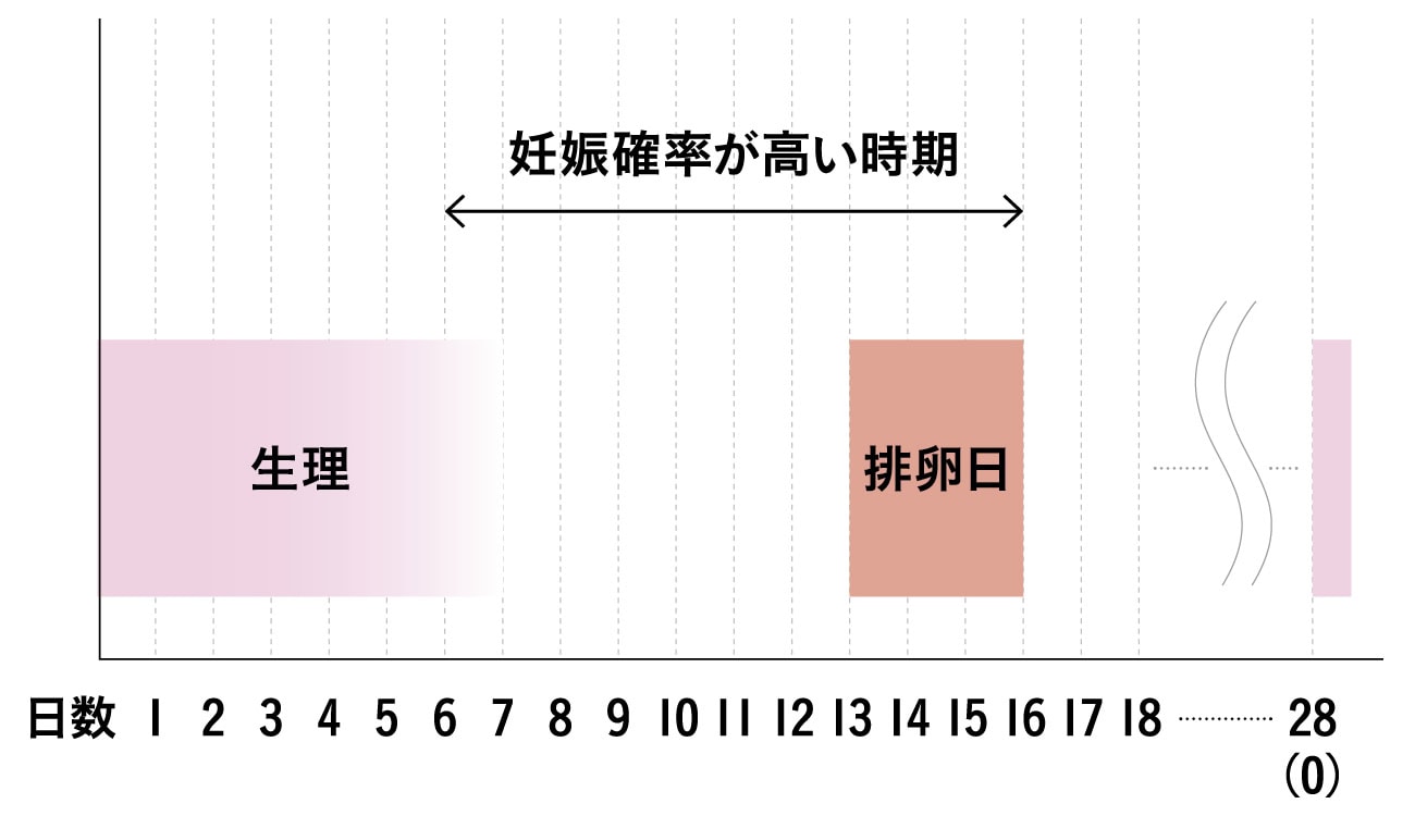 【妊娠しやすいタイミングって!?】妊娠確率が高い時期に、2〜3日に一度の性交渉をもつことで確率が高まります。※生理が28日周期の場合