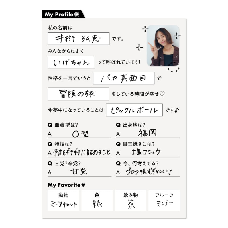 井桁弘恵Profile