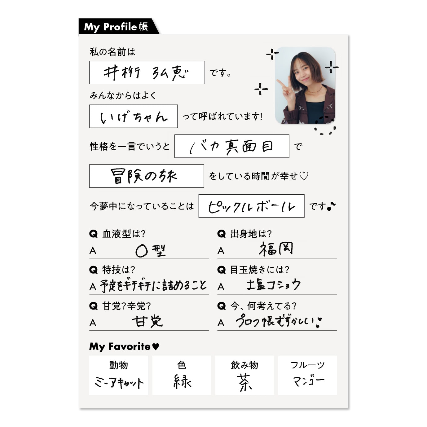 井桁弘恵Profile