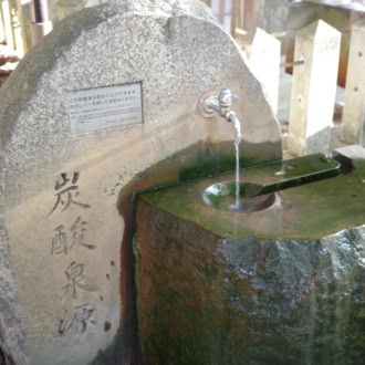 炭酸泉源